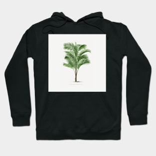 1 Les Palmiers Histoire Hoodie